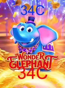 WonderElephant